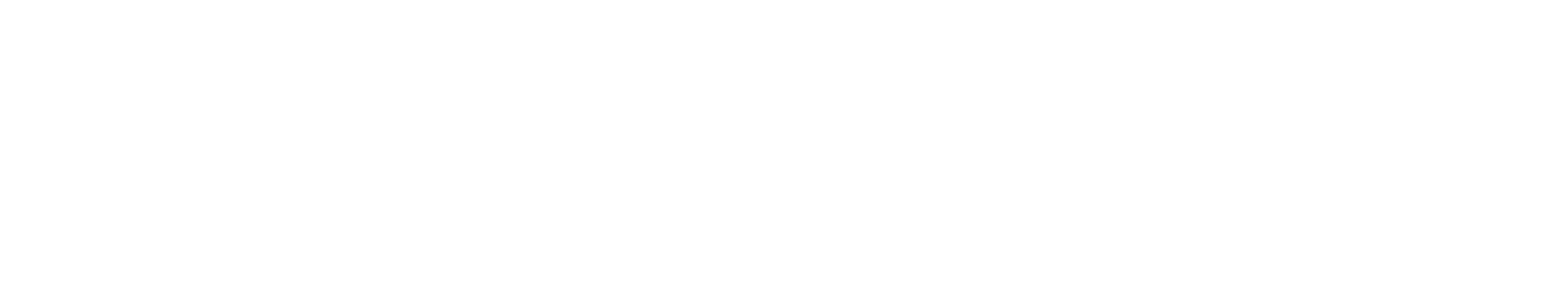 Speed-icone